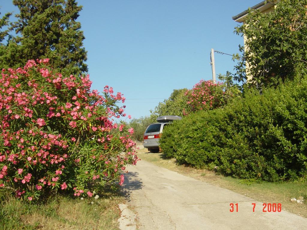 Apartments Prahovic Ždrelac Eksteriør bilde